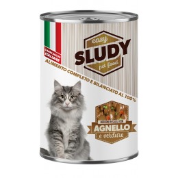 Sludy Cat Bocconi In Salsa...