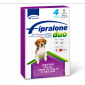 Fipralone duo cane spot-on...