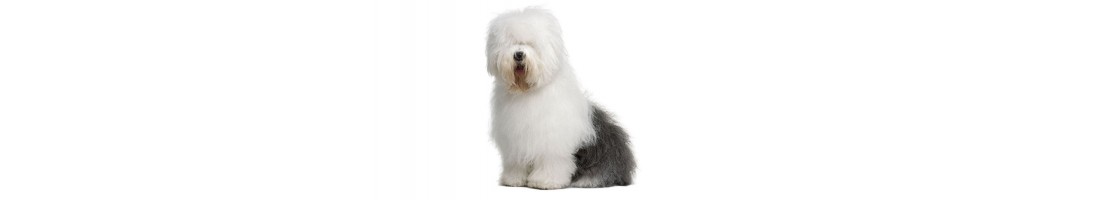 Bobtail mangimi e crocchette per il tuo cane